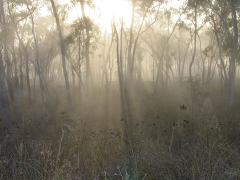 Fergies Hill Spa Cottage @ Granite Ridge Wines - E Caravan Parks 1
