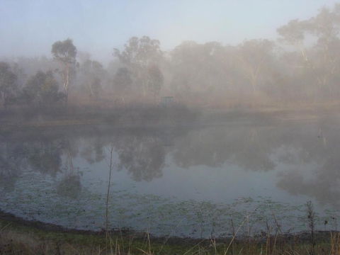 Fergies Hill Spa Cottage @ Granite Ridge Wines - E Caravan Parks 4