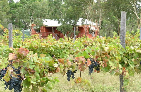Fergies Hill Spa Cottage @ Granite Ridge Wines - E Caravan Parks 0