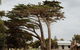 Falmouth Cottage - Dog Friendly Beachside Getaway 2,5 Acres - thumb 1