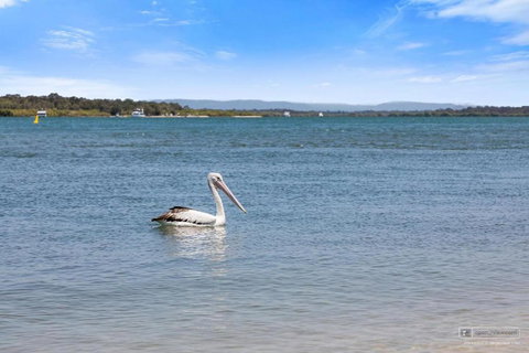 Gemstone - E Caravan Parks 3