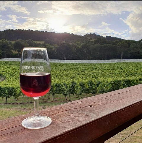Gisborne Peak Winery Short Term Stays - E Caravan Parks 3