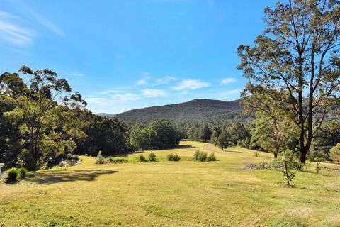 Hunter Valley Kangaroo Retreat With 60 Kangaroos - E Caravan Parks 1