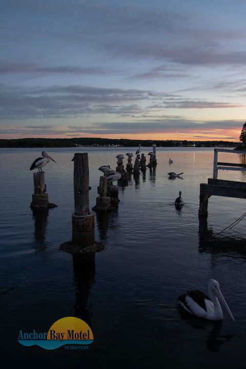 Anchor Bay Motel - E Caravan Parks 3