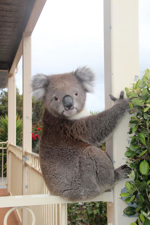 Angela's Beach Stays - E Caravan Parks 3