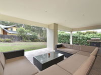 Angophora  The Vintage