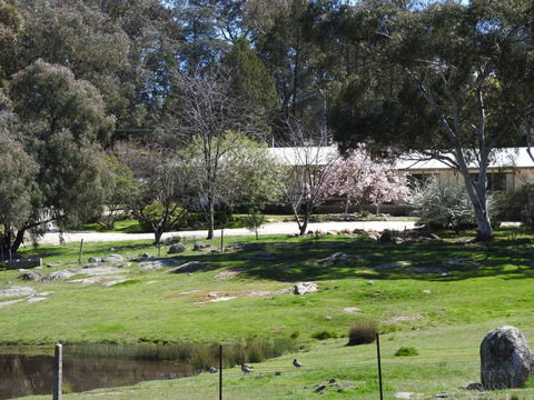 Annies Holiday Units - E Caravan Parks 3