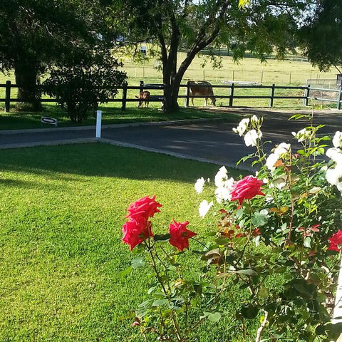 Appin Homestay B & B - E Caravan Parks 3