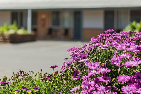 Maffra Motor Inn - E Caravan Parks 1