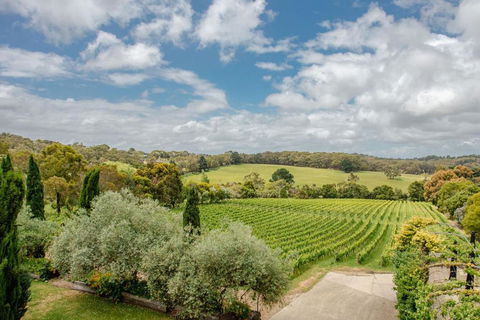 Morning Sun Vineyard - E Caravan Parks 1