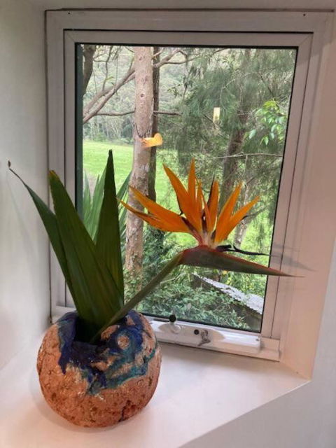Nature Retreat & Artists Studio 90mins From Sydney - E Caravan Parks 1