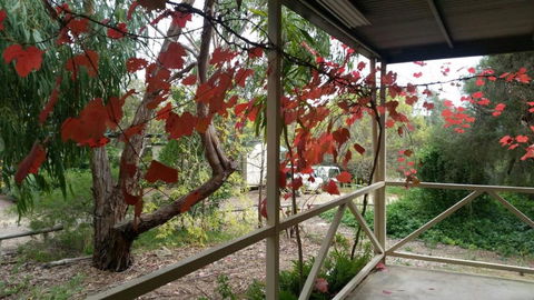Padthaway Caravan Park - E Caravan Parks 1