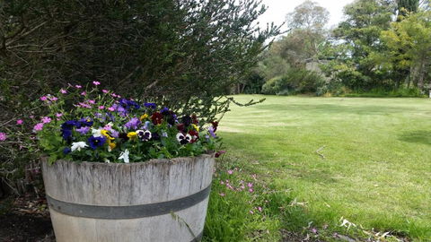 Padthaway Caravan Park - E Caravan Parks 0