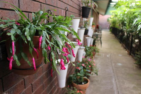 Pavlos Motel - E Caravan Parks 3