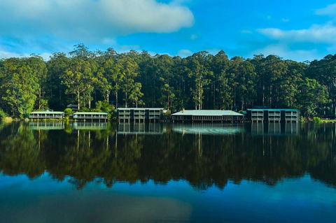 RAC Karri Valley Resort - E Caravan Parks 2
