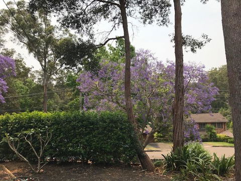 Baulkham Hills - E Caravan Parks 2
