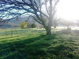 Book Mongans Bridge Accommodation E Caravan Parks E Caravan Parks