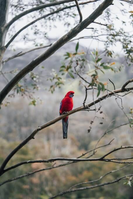 Riverside Cabin 18 Thredbo - E Caravan Parks 1