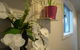 Beautiful House In Melbourne Southwest - thumb 2