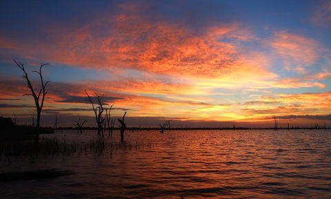 BIG4 NRMA Yarrawonga Mulwala Holiday Park - E Caravan Parks 0