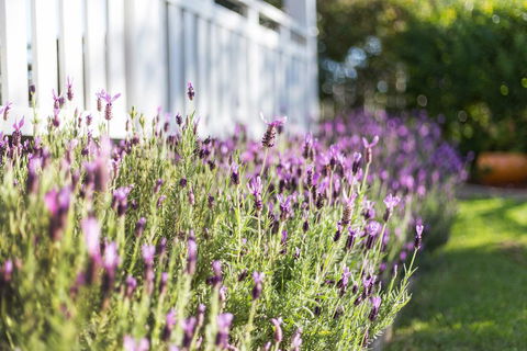 BIRCHES B&B - E Caravan Parks 3